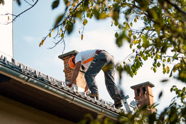 Best Roof Repair Specialists  in Glenwood City, WI