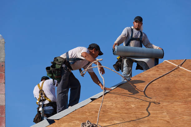 Best Local Roofing Companies  in Glenwood City, WI
