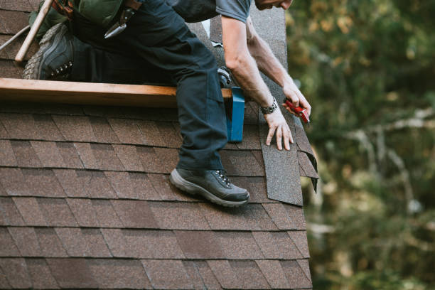 Best Roof Maintenance Services  in Glenwood City, WI
